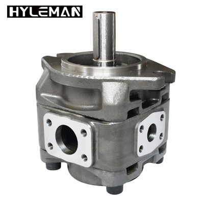 Pompa Roda Gigi Kecil